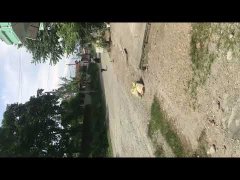 Ride to Yakthung  bakery…