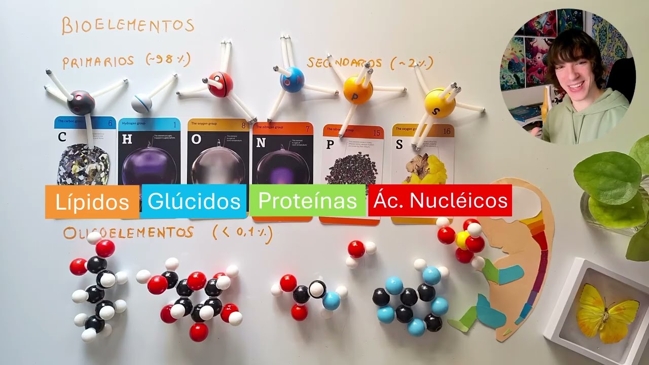 Bioelementos y Oligoelementos