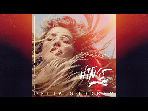 Delta Goodrem vs. Shawn Mendes & Camila Cabello - Señorita Wings