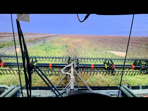 Swathing the south farm! 