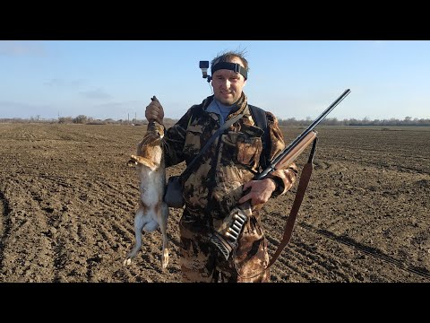 Охота на зайца 2019 год . Отличная охота на зайца и фазана 2019 в Ростовской области