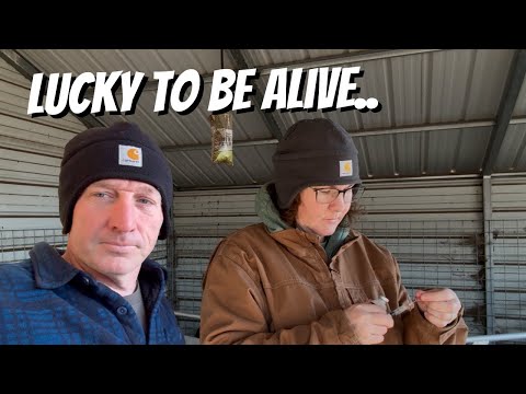 Things Got Complicated.. We Had To Step In 