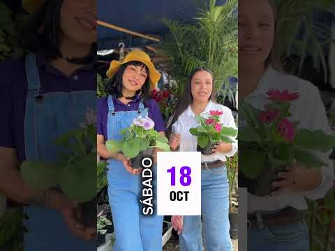 💚 Las mujeres timbianas siembran futuro, cuidan la vida y transforman su territorio. 🌱