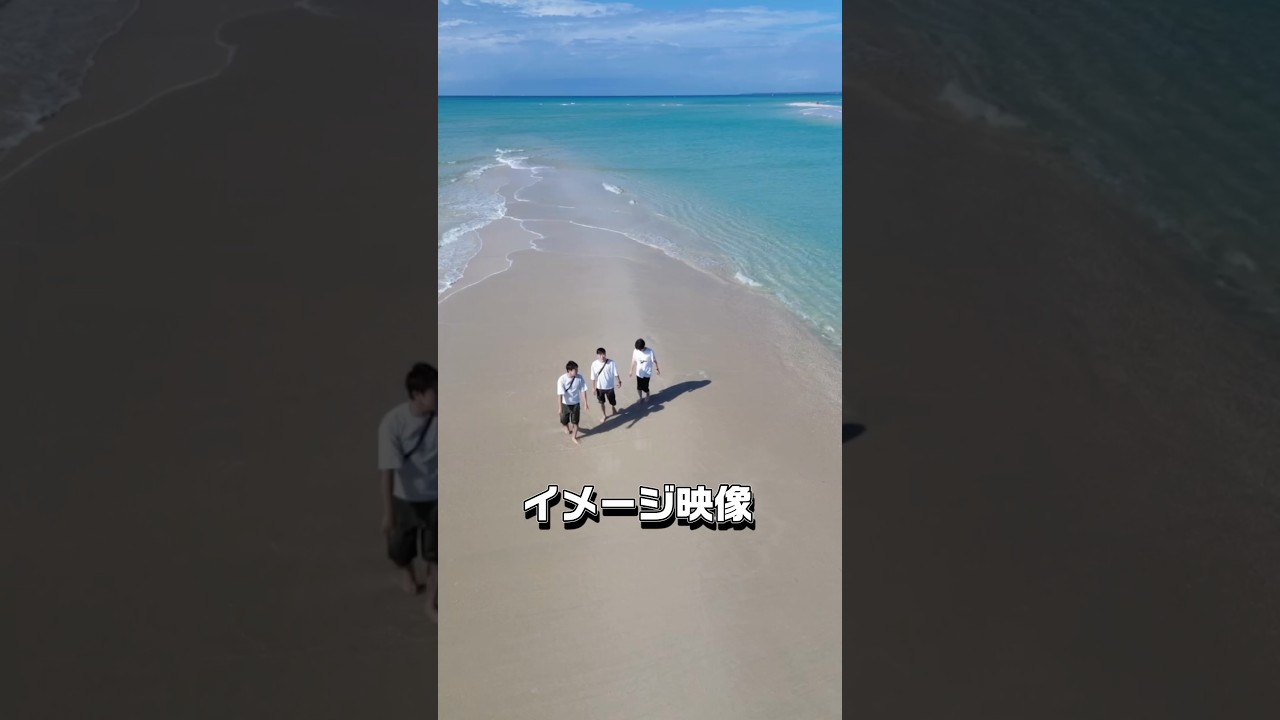 すっごくいい夢見てた気がするが野良猫に邪魔された