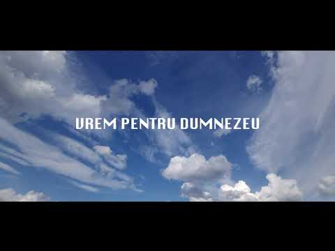 Gabi Ilut - Zi de Sărbatoare
