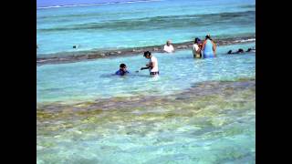 preview picture of video 'Johnny Kay, El Aquario Islands, San Andres'