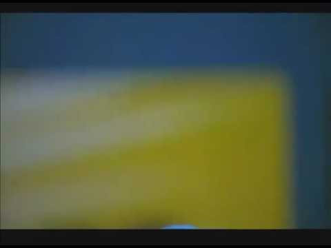 Alia Atkinson  world record  moment