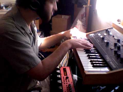 Live DUBSTEP w/ Loopstation and Moog