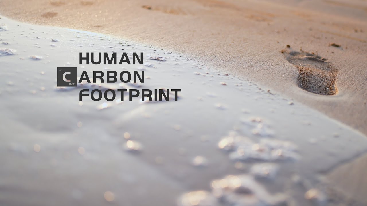 Carbon Neutrality Documentary: Human Carbon Footprint focus on sustainable future