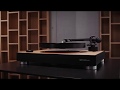 MAG LEV Audio ML1 Wood Edition Promo Video