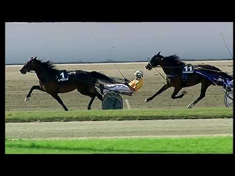 Napoli Trotto 02/05/2021 - 5ª corsa - GP Regione Campania