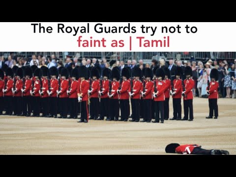 The Royal Guards try not to faint as | Tamil