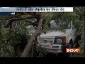 Tree falls over several vehicles after heavy rain in Mandi, Himachal