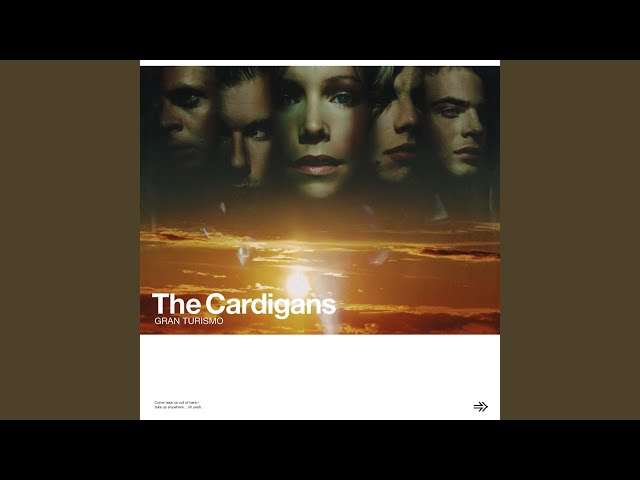 The Cardigans - My Favorite Game (Remix Stems)