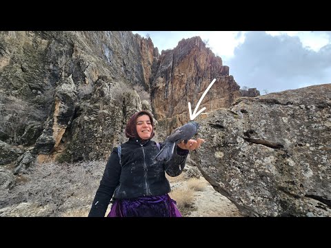 🏔️ The story of rescuing a trapped bird 🐦✨:🔥 Nomadic cooking in the heart of pristine nature 🌾