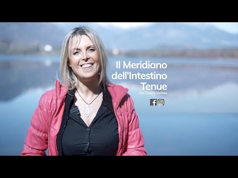 Il Meridiano dell'Intestino Tenue