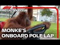 Monke's Pole Lap | 2022 Royal Golf Club GP | Pirelli