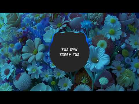 TUS XYW TSEEM NYOB TOS DJ REMIX - JYM REMIX
