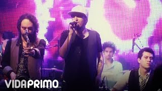 Providencia - Juanita Bonita [Live]