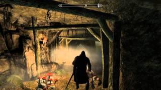 Skyrim - Сражи рассвета.Болт электричества.avi
