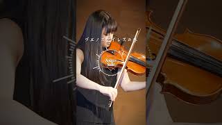 Download lagu 【一発撮り 演奏】ブエノスアイレスの春 The Source of Soul mp3 Download lagu 【一発撮り 演奏】ブエノスアイレスの春 The Source of Soul mp3