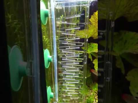 Диффузор CO2 Dennerle Flipper реактор для аквариума - фото 1 - id-p2035216466