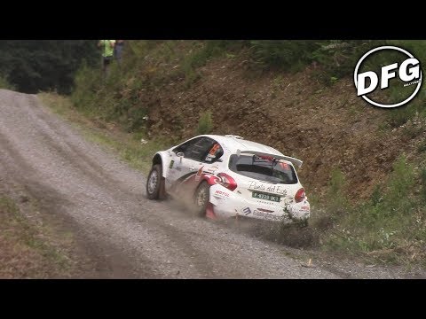 BEST OF RALLY 2017 [ DFG RALLYVIDEO]