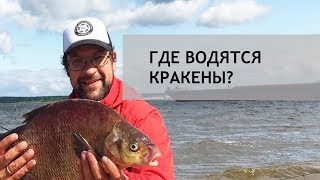 Отчет о рыбалке на рыбинском водохранилище