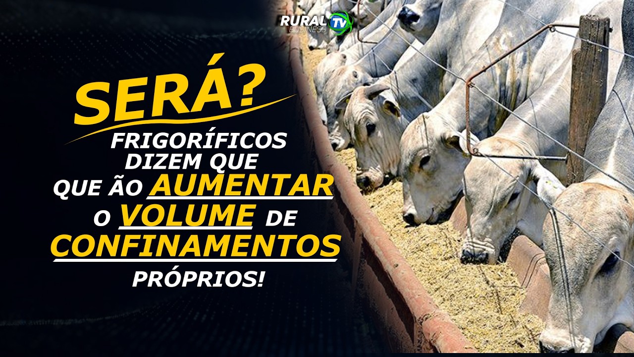 SERÁ? FRIGORÍFICOS DIZEM QUE VÃO AUMENTAR O VOLUME DE CONFINAMENTOS PRÓPRIOS!