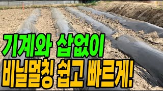 기계와 삽 안쓰고 비닐멀칭 쉽고 빠르게 씌우는방법! 누구든 쉽게 따라할수있어요