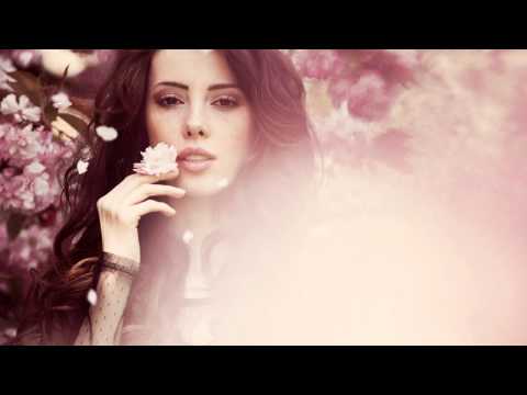 xKuerbisx Trance [254]