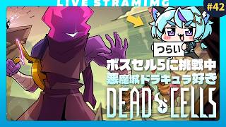【Dead Cells】ボスセル5練習中、テスラコイル取ったどー！⚡️｜変異も欲しい｜42日目