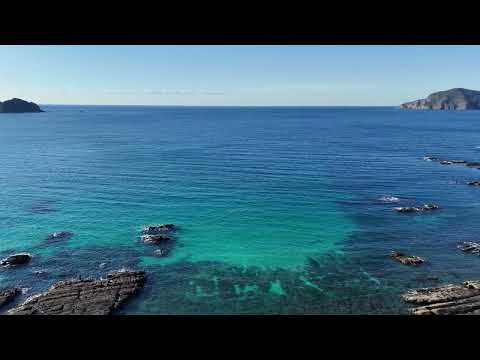 茂串（多言語解説動画）