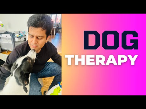 Dogs of YouTube | Winter play time | Canada Dog