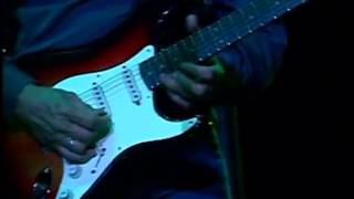 Wild mountain honey - Steve Miller TKV