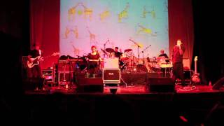 Me llaman cumbiambera adolorida - en Vivo - Meridian Brothers