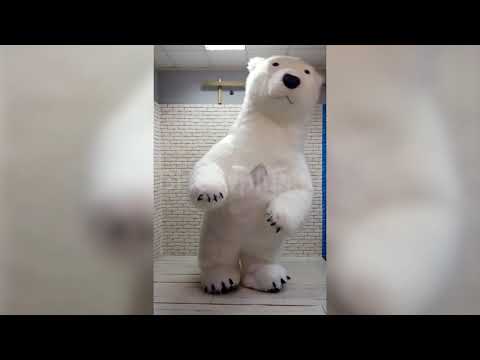 Biały niedźwiedź z długim futrem - strój pneumatyczny