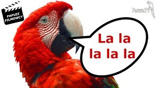 Frank the Macaw Singing La La La La La  La...