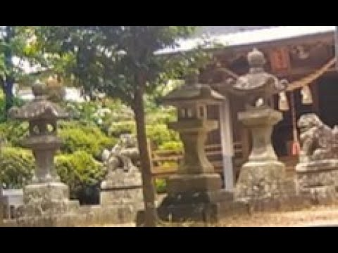 Meditating With a Cat: Session #48 {Shinto and Buddhism}