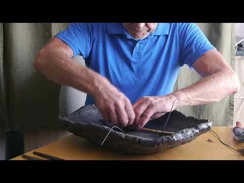 Ein Wald aus japanischen Lärchen entsteht