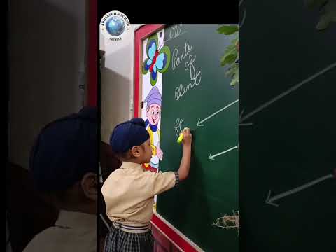 Learn by doing! Parts of Plants Activity – UKG |