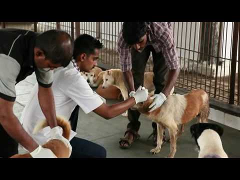 download lagu mp3 mp4 Ida Deonar, download lagu Ida Deonar gratis, unduh video klip Ida Deonar