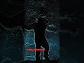 Bunny The Killer Thing Shorts Film Clips Shorts Free Film Youtubeshorts