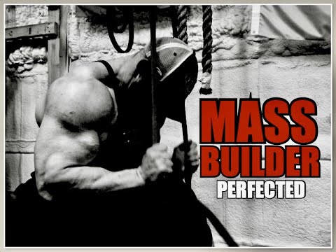 MASSBUILDER Perfected! $25 Program (73 page ebook)