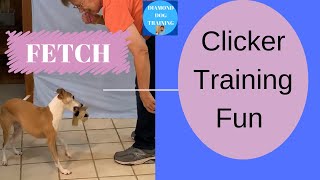 Clicker Training Fun: How To Teach Your Dog To Fetch