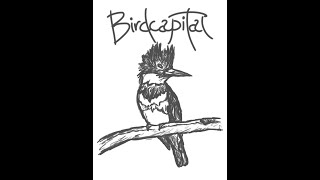 Birdcapital - Illinoise