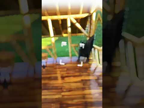 Vendo: Casa Finca en Santo Domingo Ant.      $1900.000.000