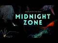 Into The Midnight Zone Secrets Of The Ocean Void