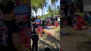 Download lagu Pertunjukkan Kesenian Jaranan paling spektakuler#shorts mp3