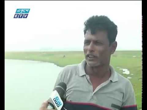 সুনামগঞ্জে হাওরে ফসল রক্ষা বাধ নিয়ে শংকায় কৃষক